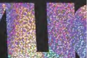 8 (1)